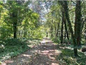 terreno edificabile in vendita a Somma Lombardo in zona Coarezza