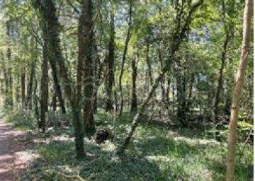 terreno edificabile in vendita a Somma Lombardo in zona Coarezza