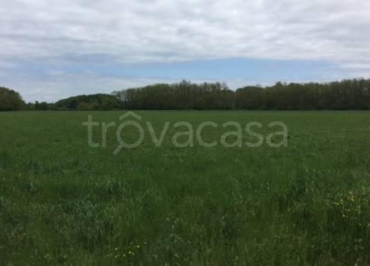 terreno agricolo in vendita a Somma Lombardo