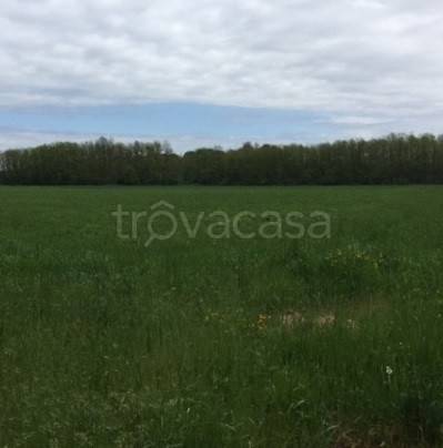 terreno agricolo in vendita a Somma Lombardo