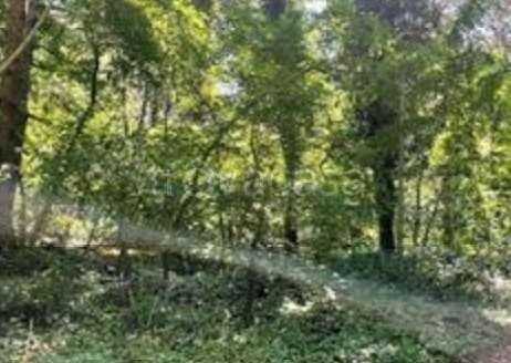 terreno agricolo in vendita a Somma Lombardo in zona Coarezza