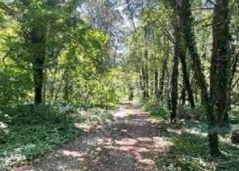 terreno agricolo in vendita a Somma Lombardo in zona Coarezza