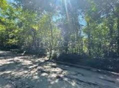 terreno agricolo in vendita a Somma Lombardo in zona Coarezza