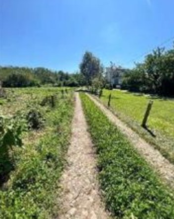 terreno agricolo in vendita a Somma Lombardo in zona Coarezza