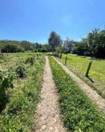 terreno agricolo in vendita a Somma Lombardo in zona Coarezza
