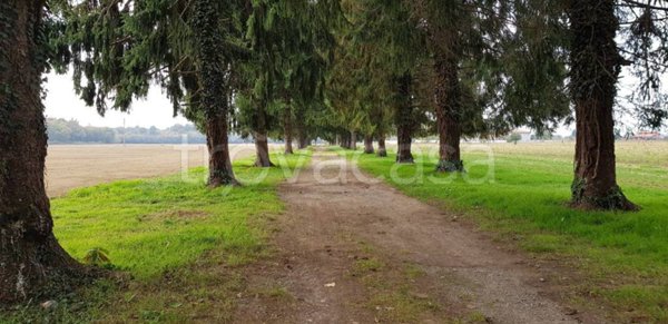 terreno agricolo in vendita a Somma Lombardo