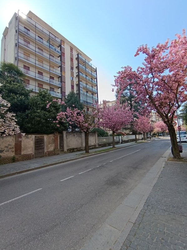 appartamento in vendita a Somma Lombardo