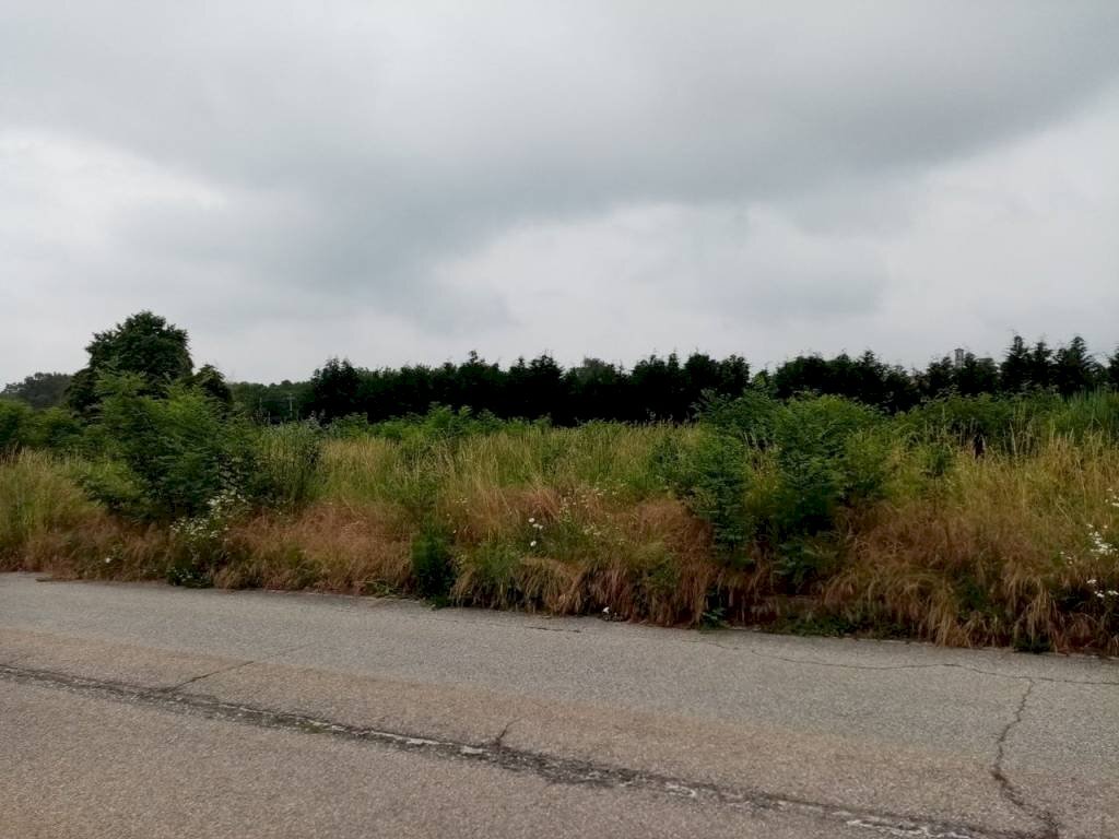 terreno edificabile in vendita a Sumirago in zona Albusciago