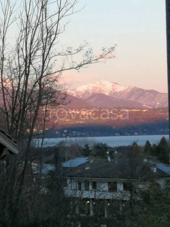 terreno agricolo in vendita a Ternate