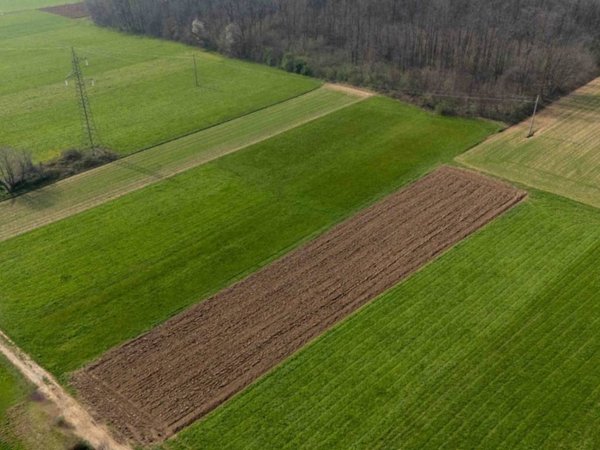 terreno agricolo in vendita a Tradate