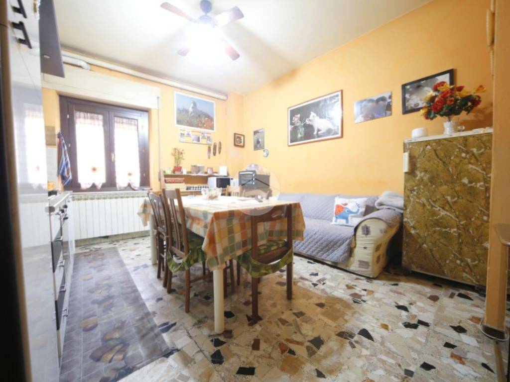 immagine annuncio 0 di 1