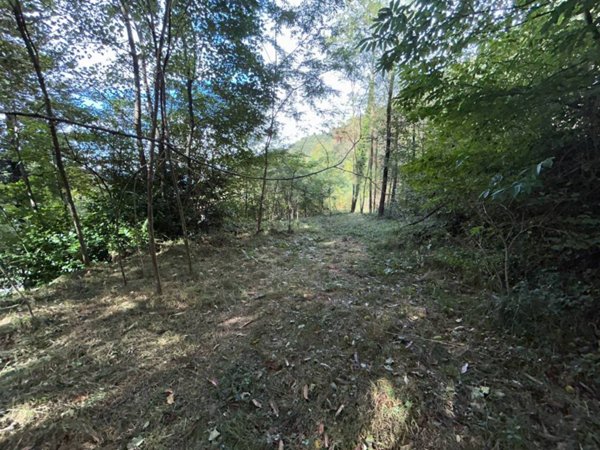 terreno agricolo in vendita a Valganna in zona Ganna