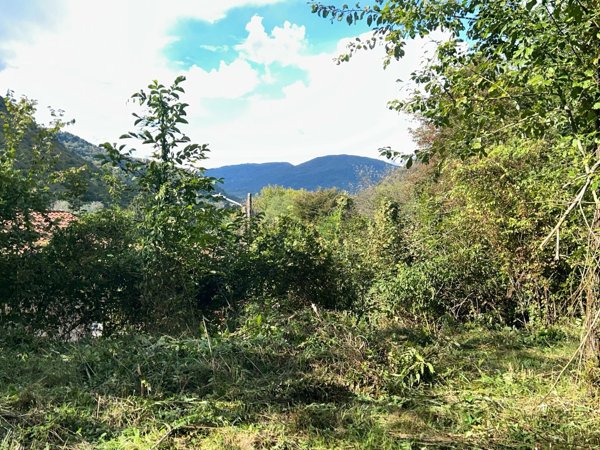 terreno edificabile in vendita a Valganna in zona Ganna