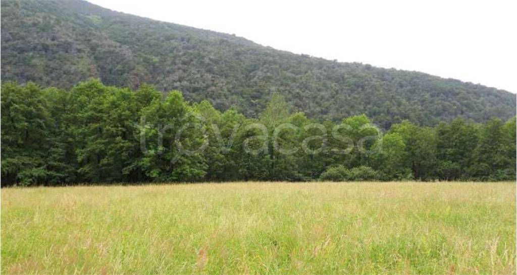 terreno agricolo in vendita a Valganna in zona Ganna