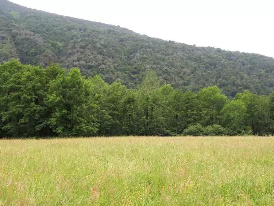 terreno agricolo in vendita a Valganna