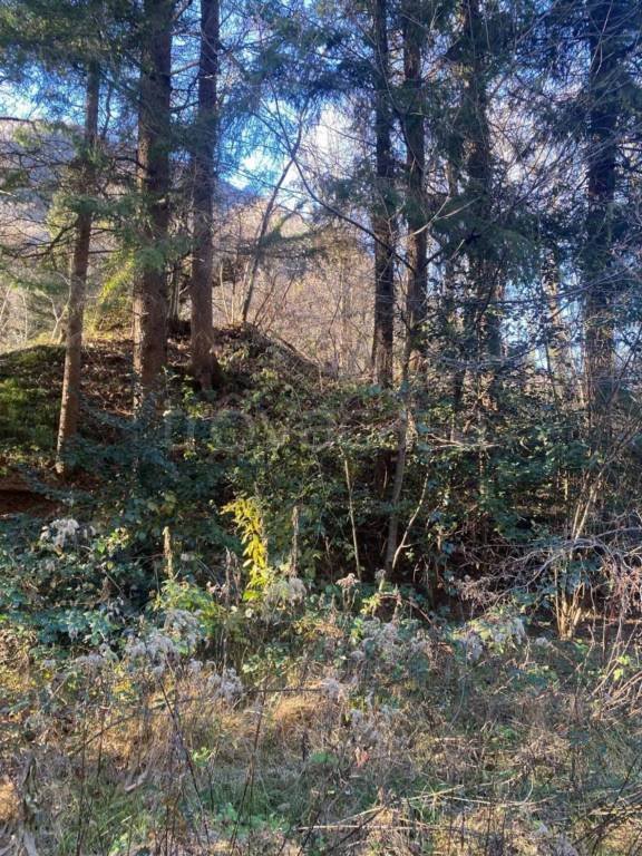 terreno in vendita a Valganna in zona Ganna