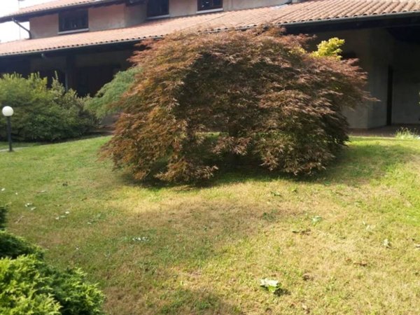 casa indipendente in vendita a Varano Borghi