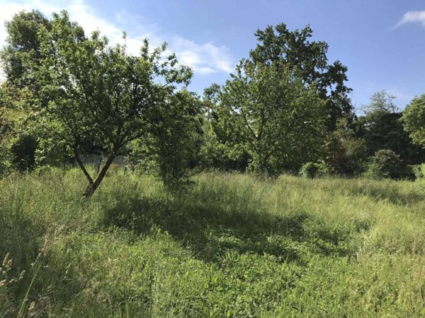 terreno agricolo in vendita a Varese in zona Lissago