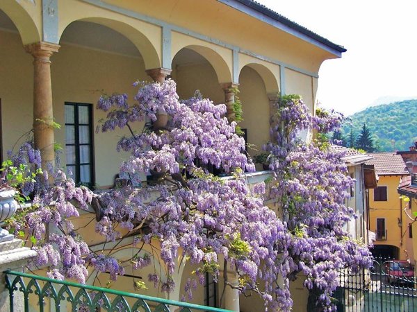 villa in vendita a Varese in zona Biumo