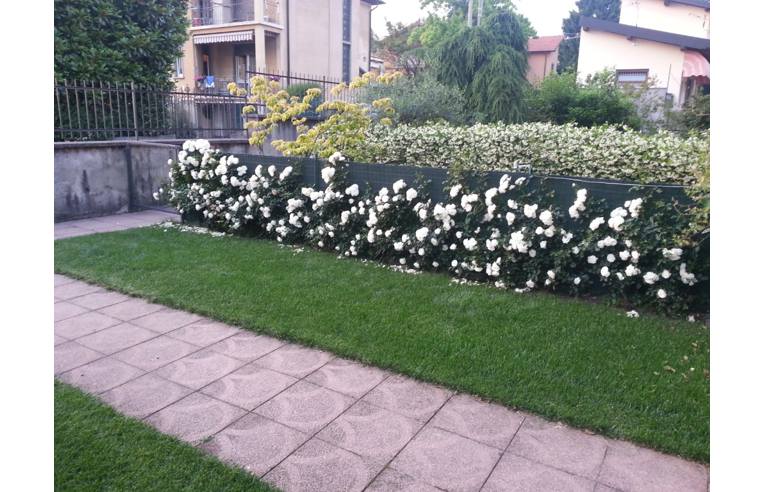 casa indipendente in vendita a Varese in zona Centro Città