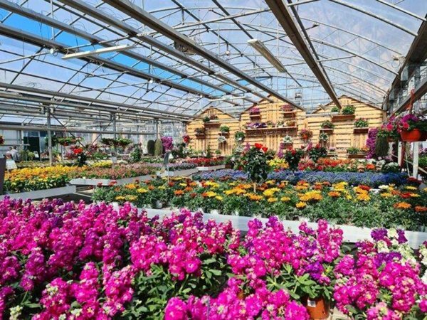 terreno agricolo in vendita a Varese in zona San Gallo