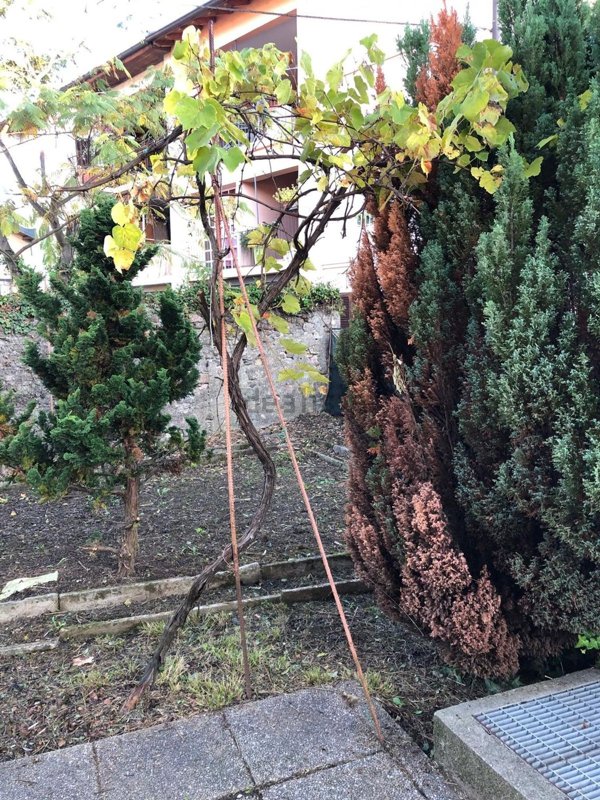 casa indipendente in vendita a Varese in zona Viale Belforte