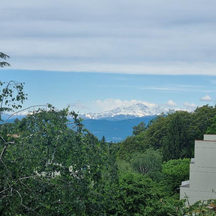 appartamento in vendita a Varese in zona Masnago