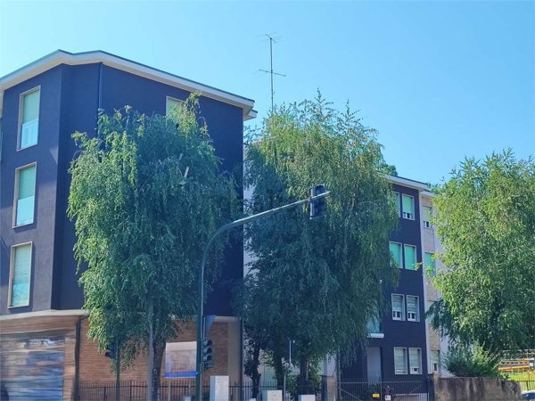 appartamento in vendita a Varese in zona Masnago