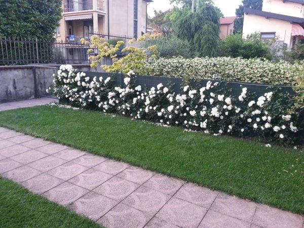 casa indipendente in vendita a Varese in zona Masnago