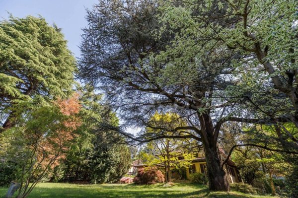 casa indipendente in vendita a Varese in zona Centro Città