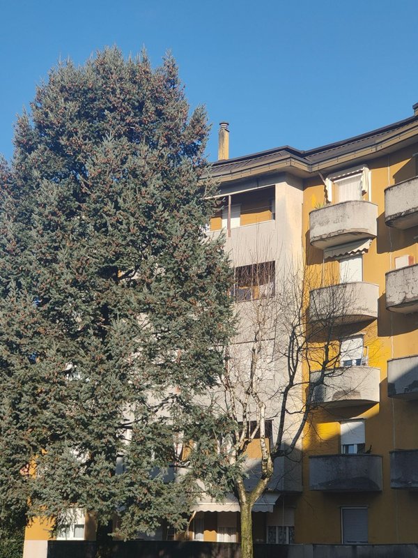 appartamento in vendita a Varese in zona Giubiano