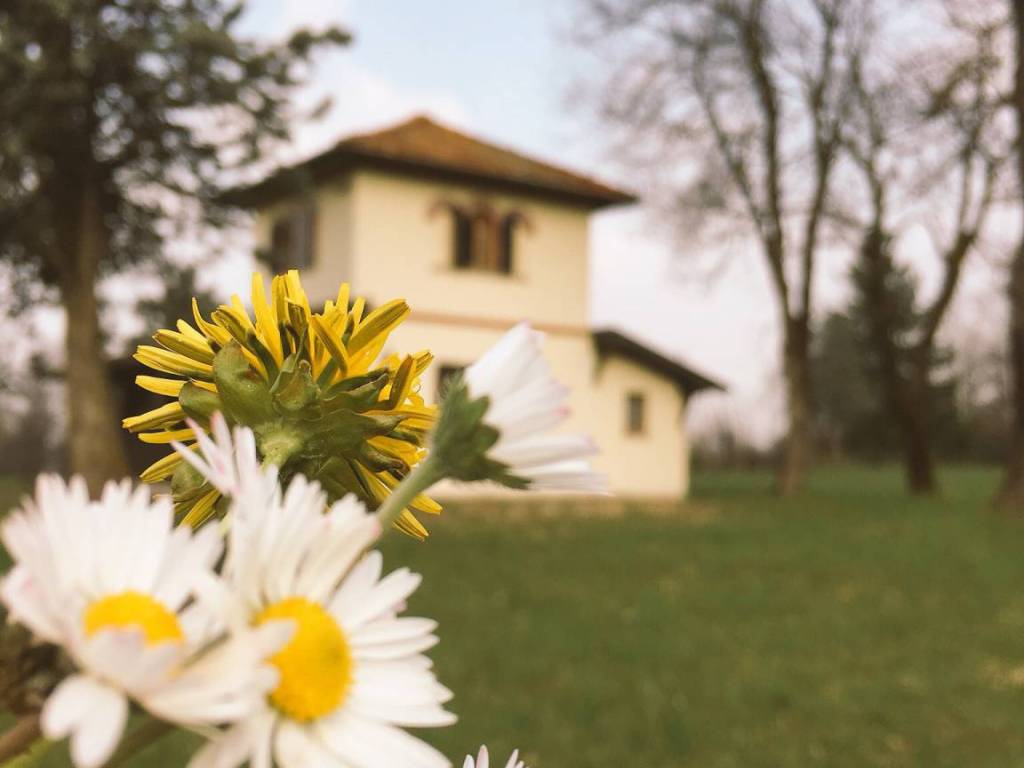 casa indipendente in vendita a Vedano Olona in zona Careno