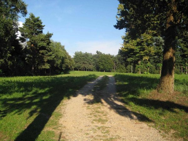 casa indipendente in vendita a Vedano Olona in zona Careno