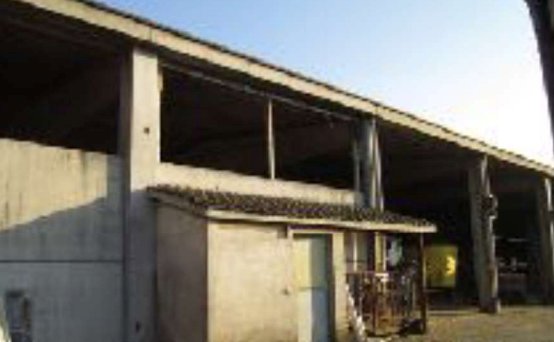 azienda agricola in vendita a Venegono Inferiore