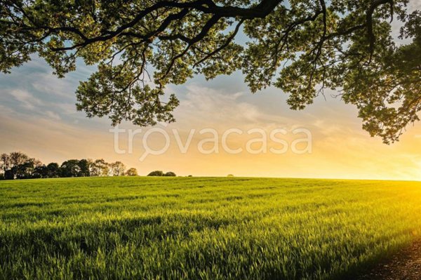 terreno edificabile in vendita a Venegono Inferiore