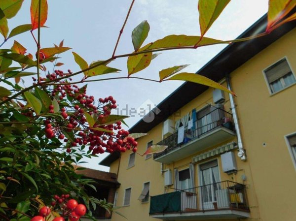 appartamento in vendita a Vergiate