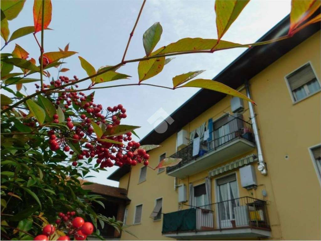 appartamento in vendita a Vergiate