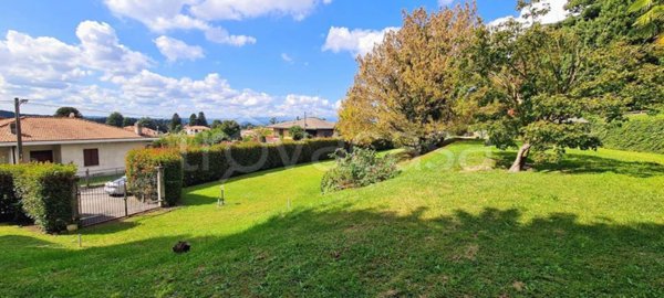 immagine annuncio 0 di 15