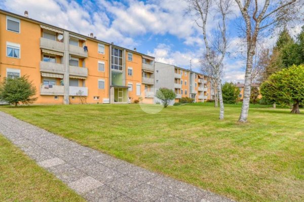 appartamento in vendita a Vergiate in zona Cimbro