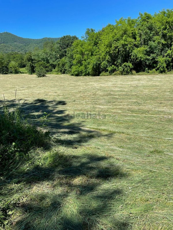 terreno agricolo in vendita a Viggiù