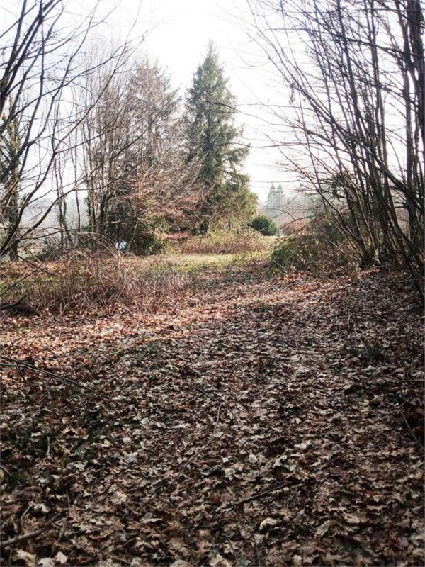 terreno edificabile in vendita a Viggiù in zona Baraggia