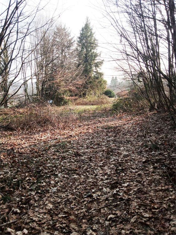 terreno edificabile in vendita a Viggiù in zona Baraggia