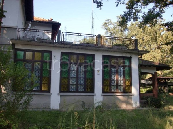 negozio in vendita a Vizzola Ticino
