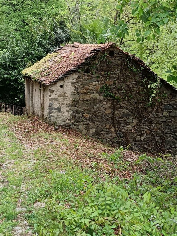 casa indipendente in vendita a Maccagno con Pino e Veddasca