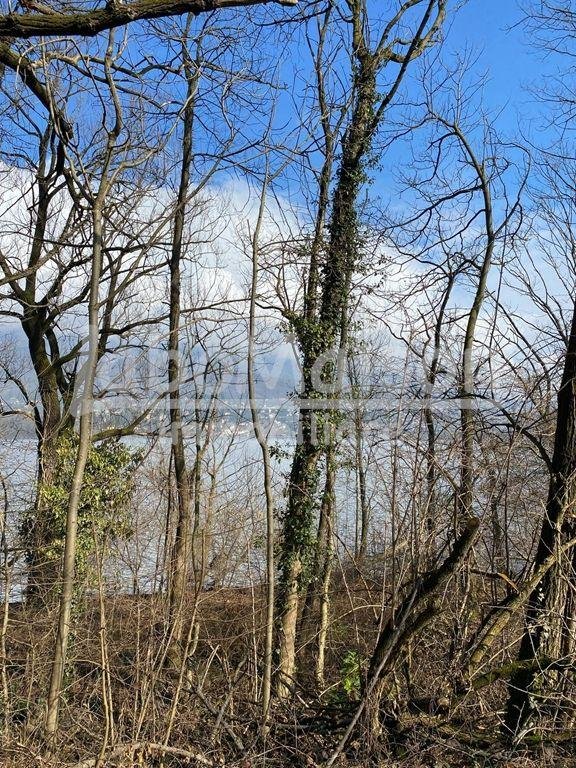 terreno agricolo in vendita a Bardello con Malgesso e Bregano in zona Bardello