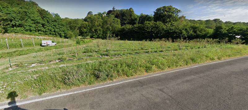 terreno agricolo in vendita ad Albavilla