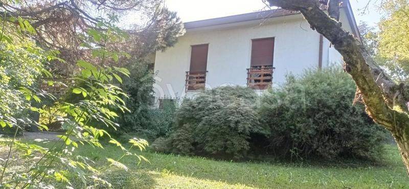 immagine annuncio 0 di 15