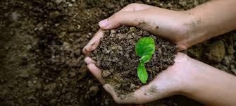terreno agricolo in vendita ad Alserio