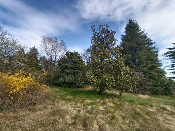 terreno agricolo in vendita ad Anzano del Parco