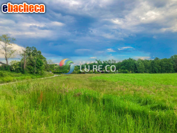 terreno agricolo in vendita ad Anzano del Parco